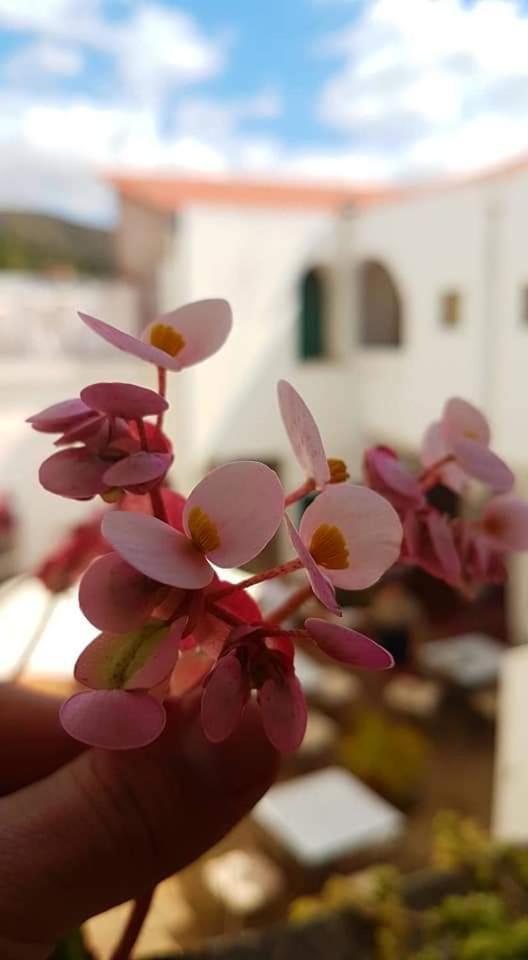 Hotel Casablanca Samaipata Zewnętrze zdjęcie