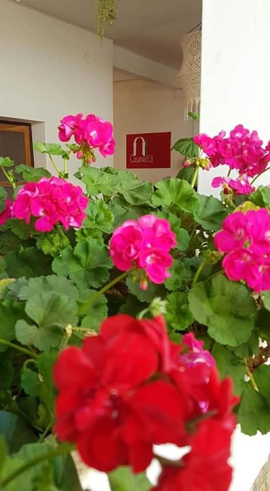 Hotel Casablanca Samaipata Zewnętrze zdjęcie